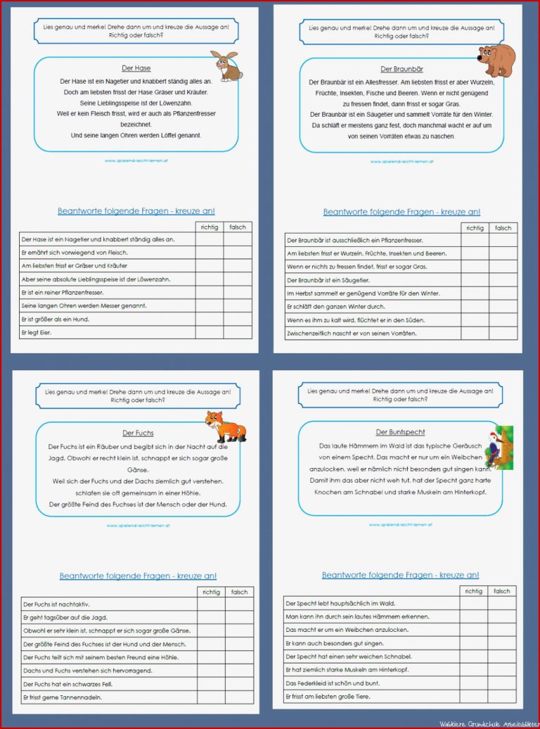 Waldtiere Richtig Oder Falsch – Unterrichtsmaterial Im
