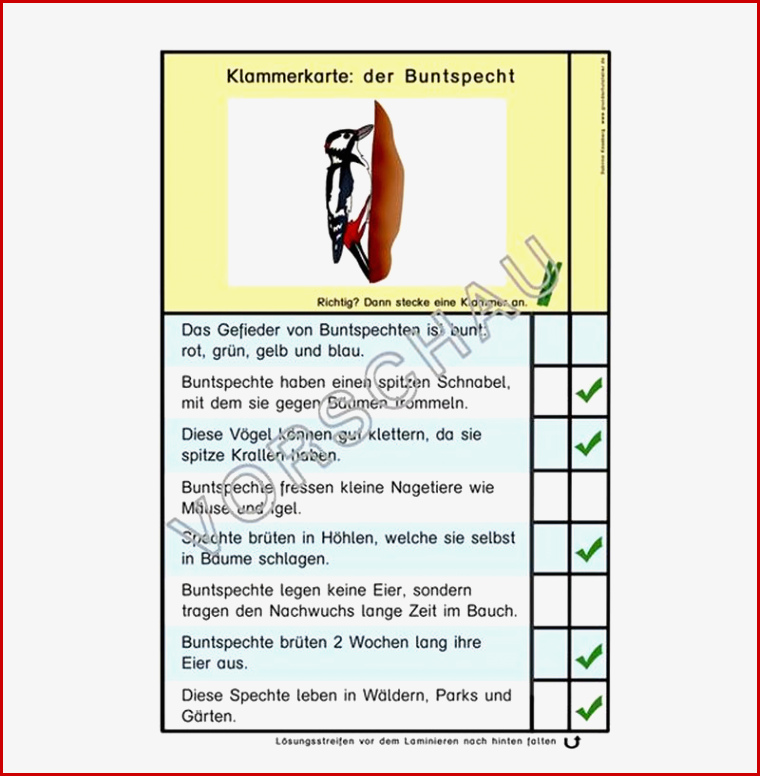 Waldwerkstatt Für Grundschule – Grundschule