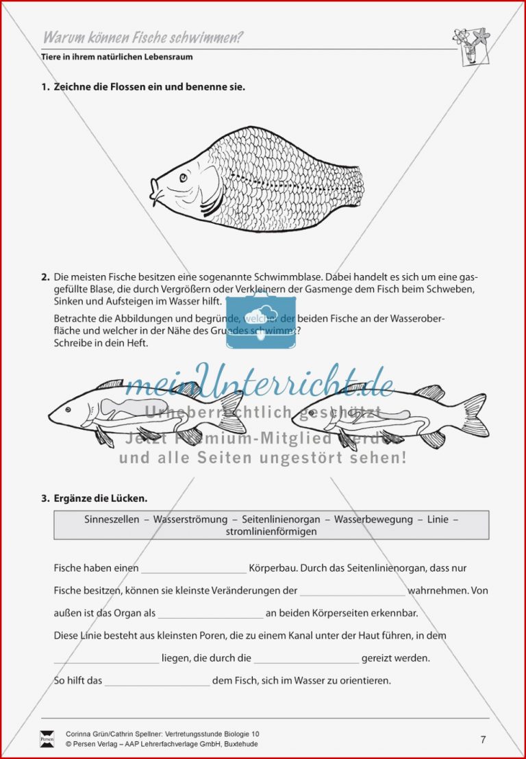 Warum können Fische schwimmen meinUnterricht