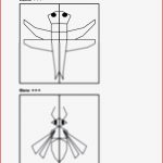 Was Krabbelt Hier – Insektenbilder Achsensymmetrisch