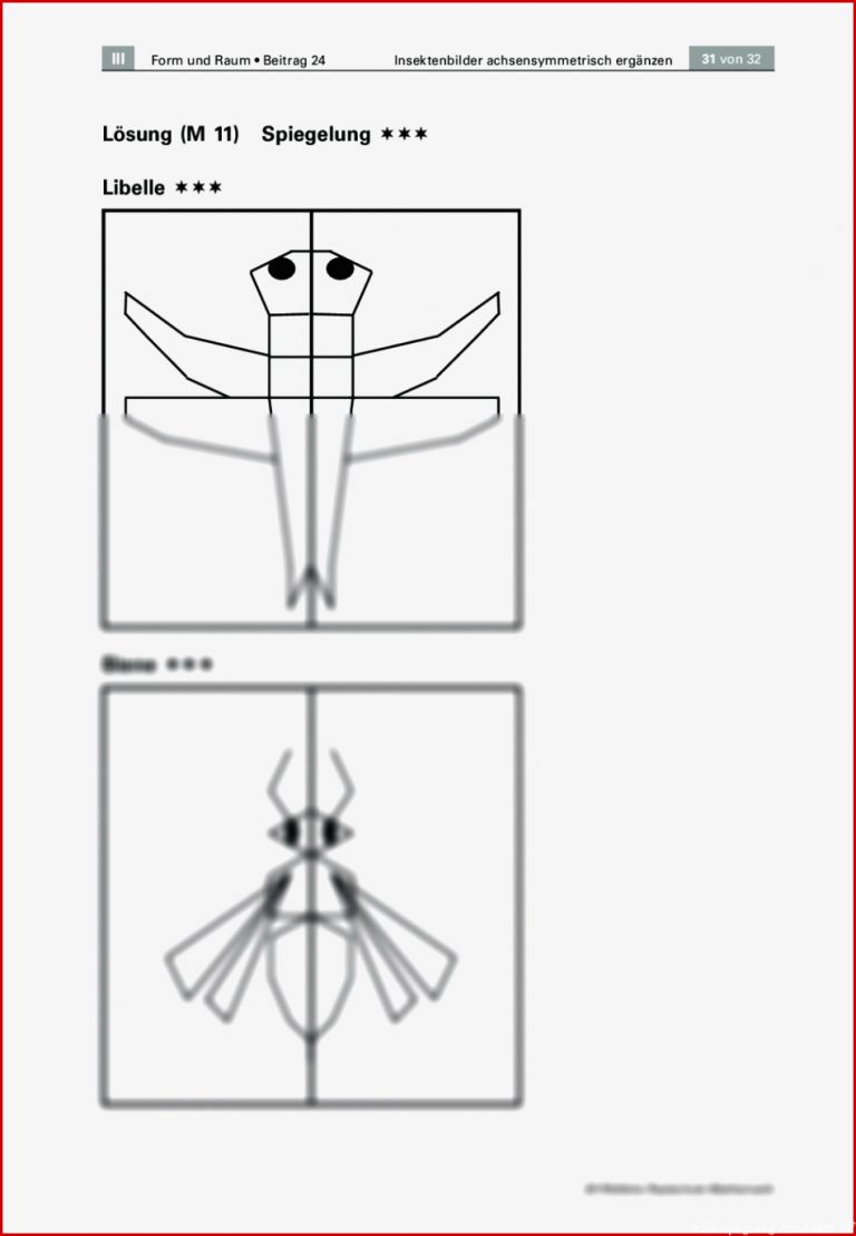 Was Krabbelt Hier – Insektenbilder Achsensymmetrisch