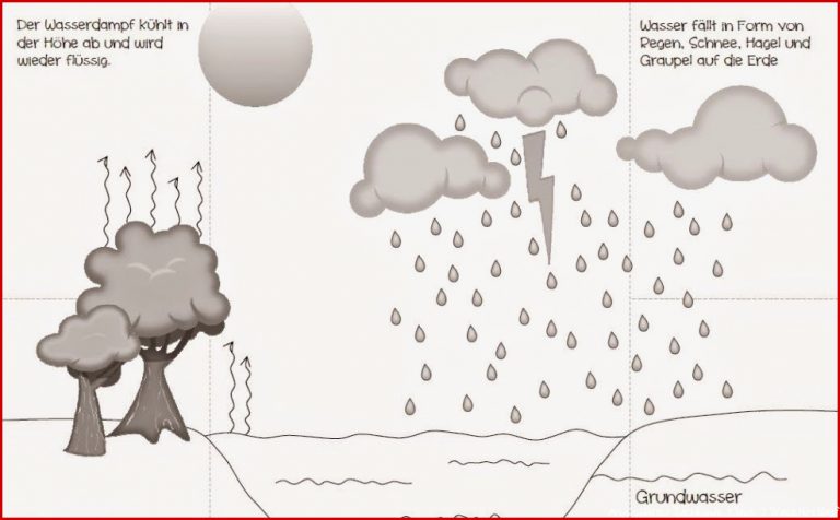 Wasserkreislauf Grundschule Arbeitsblätter Worksheets