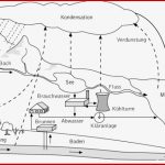 Wasserkreislauf Kompaktlexikon Der Biologie