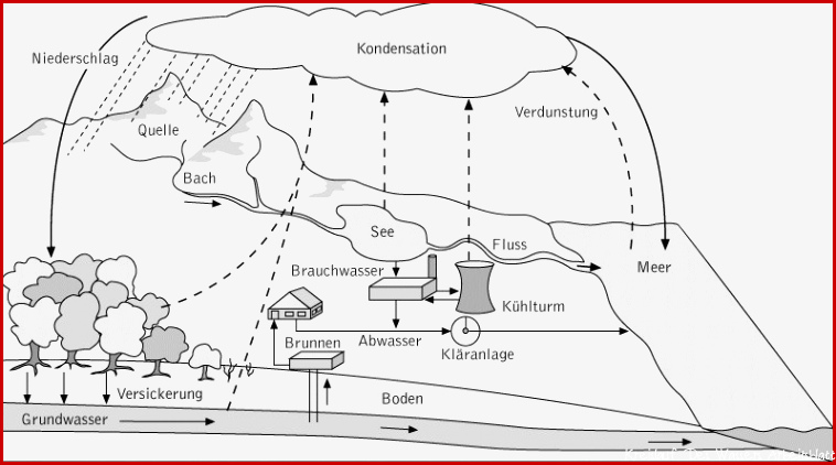 Wasserkreislauf Kompaktlexikon der Biologie