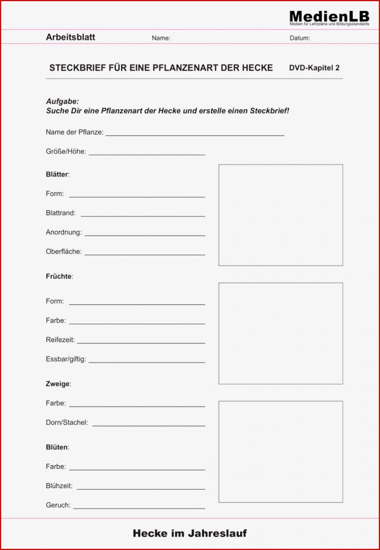 Wasserwerk Grundschule Arbeitsblätter Worksheets