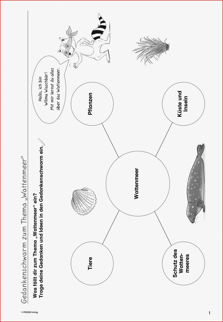 Wattenmeer Grundschule Arbeitsblätter Die nordsee