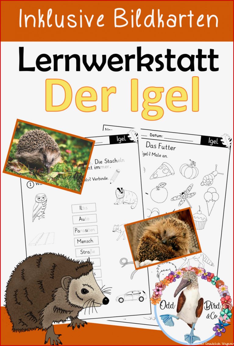 Wegerer Sachunterricht Igel William Wheeler Schule