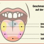 Weingeschmack Vom Ersten Schluck Bis Zum Abgang