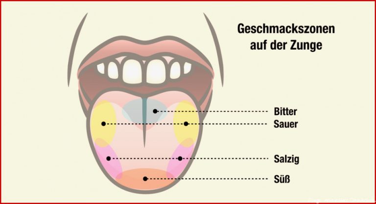 Weingeschmack Vom Ersten Schluck Bis Zum Abgang