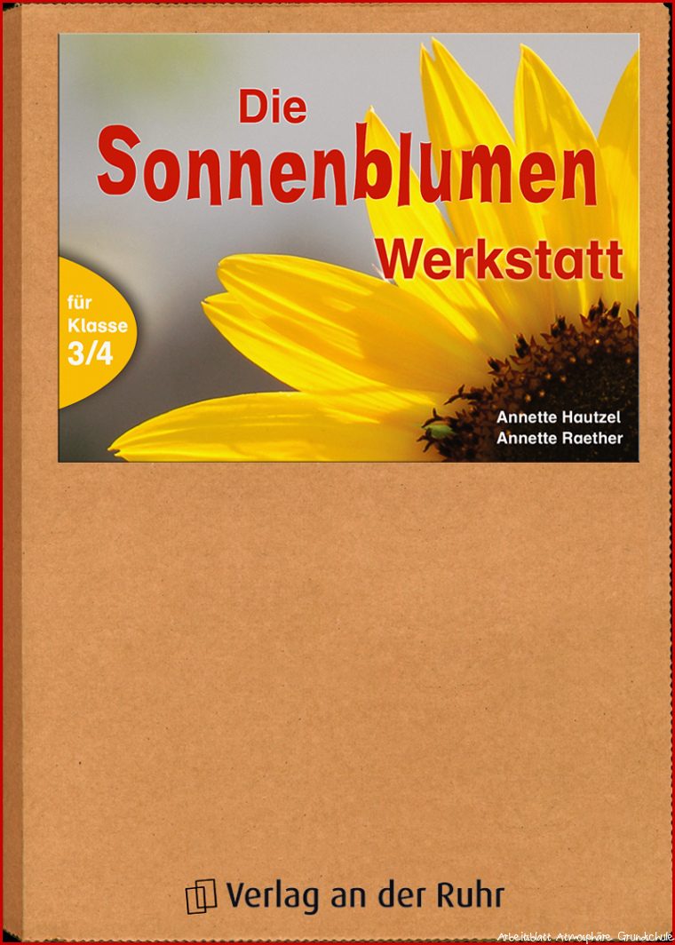 Werkstatt Pflanzen Die Sonnenblumen Werkstatt