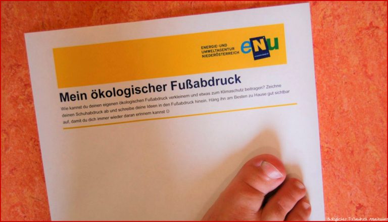 Wie groß ist mein ökologischer Fußabdruck