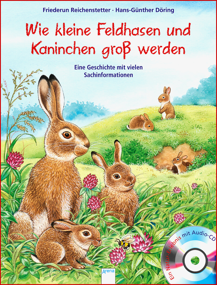 Wie Kleine Feldhasen Und Kaninchen Groß Werden Friederun