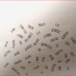 Wie ordne Ich Chromosomen In Einem Karyogramm Biologie