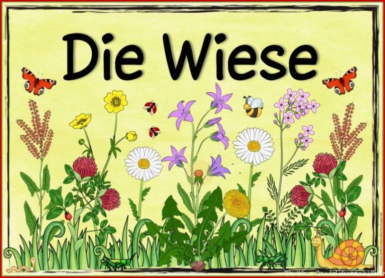 Wiese Plakat Ideenreise