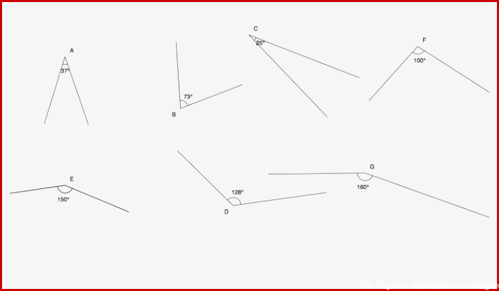 Winkel messen Arbeitsblatt I mit Lösungen