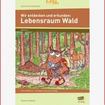 Wir Entdecken Und Erkunden Lebensraum Wald Pdf