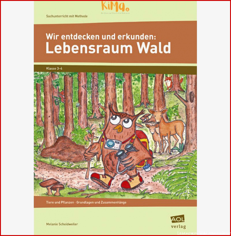 Wir entdecken und erkunden Lebensraum Wald PDF