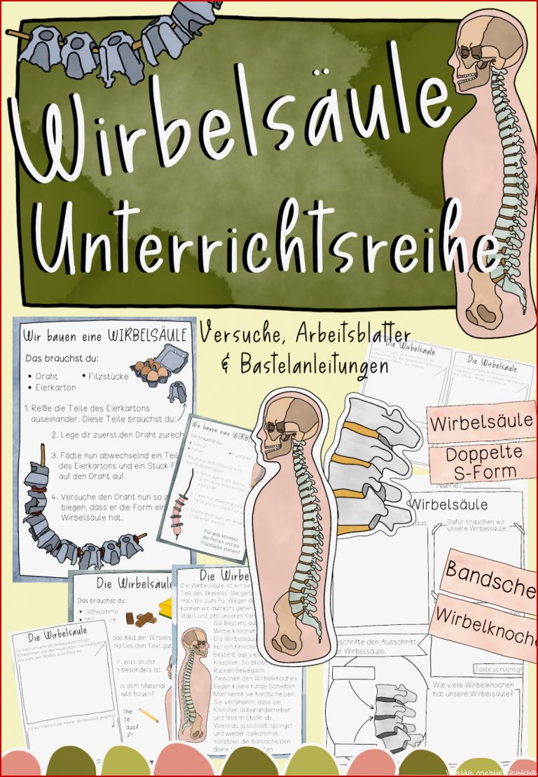 Wirbelsäule Unterrichtsreihe Arbeitsblätter Versuche