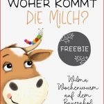 Woher Kommt Milch Wilma Wochenwurm Auf Dem Bauernhof