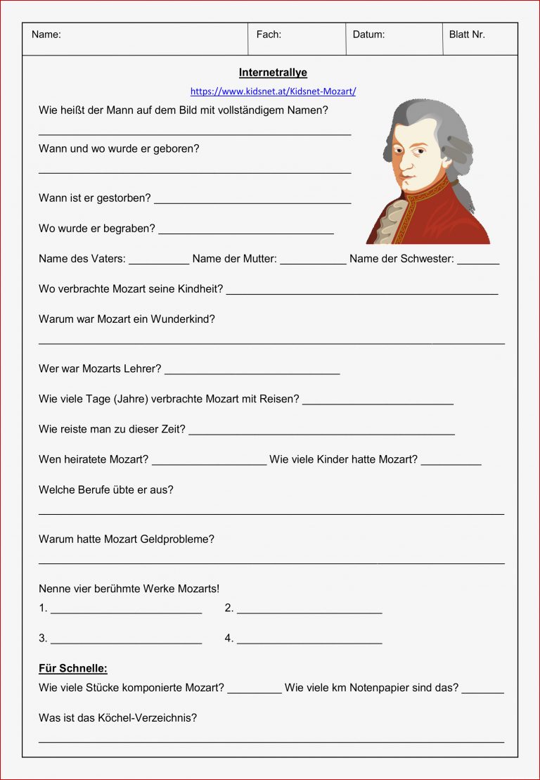 Wolfgang Amadeus Mozart Internetrallye