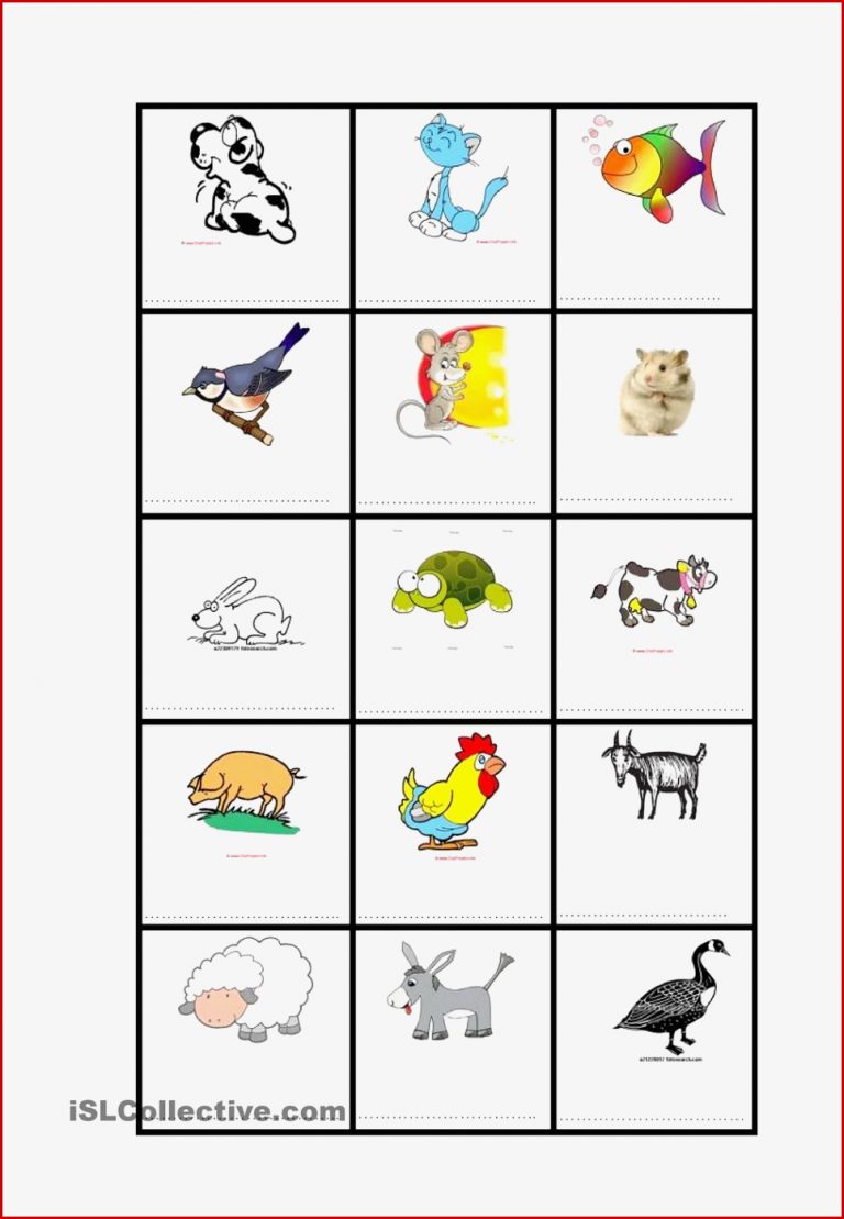 Wortschatz Tiere und Eigenschaften