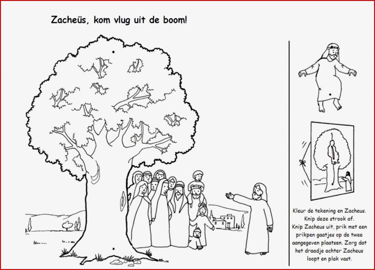 Zacheüs Kom Vlug Uit De Boom Knutsel Met touwtje Zacchaeus