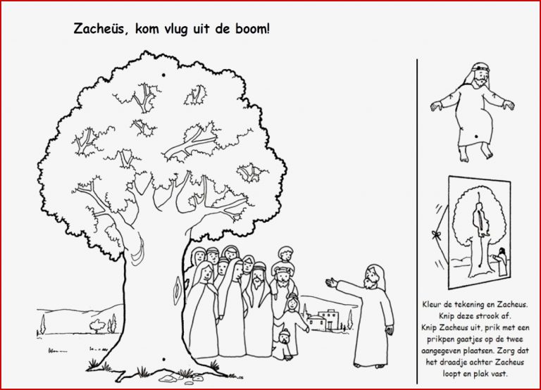 Zacheüs kom vlug uit de boom knutsel met touwtje Zacchaeus