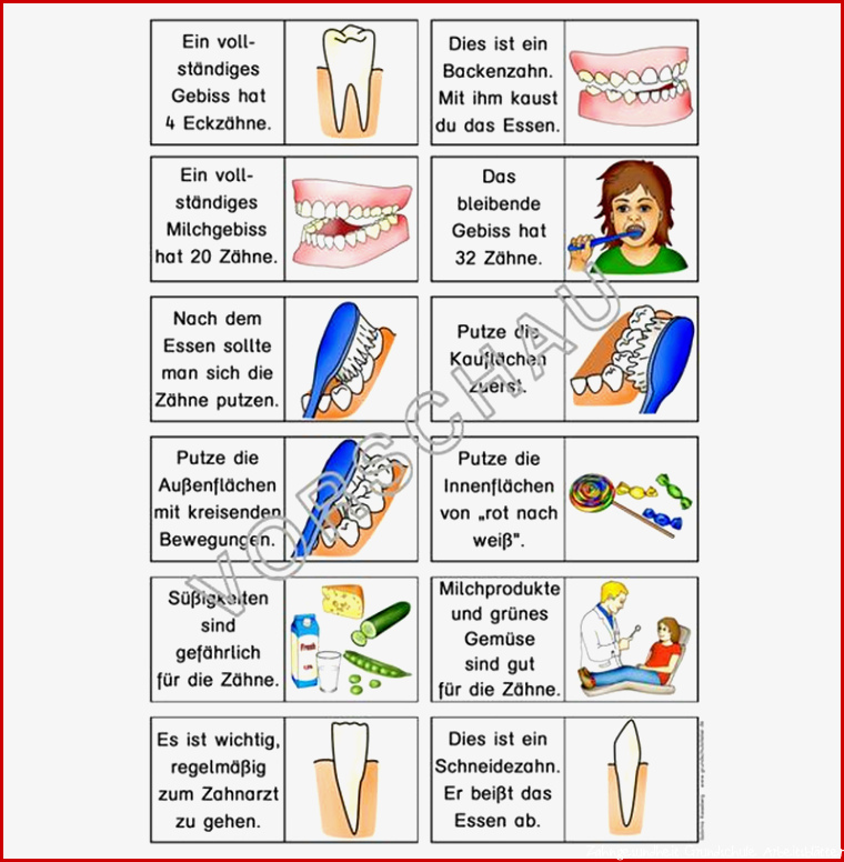 Zähne Werkstatt für Grundschule