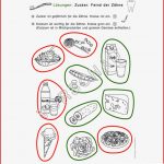 Zähne Werkstatt Für Grundschule