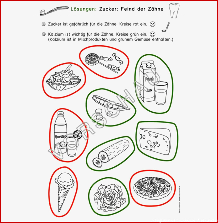 Zähne Werkstatt für Grundschule