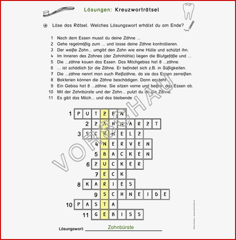 Zähne Werkstatt Für Grundschule