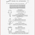Zähne Werkstatt Für Grundschule