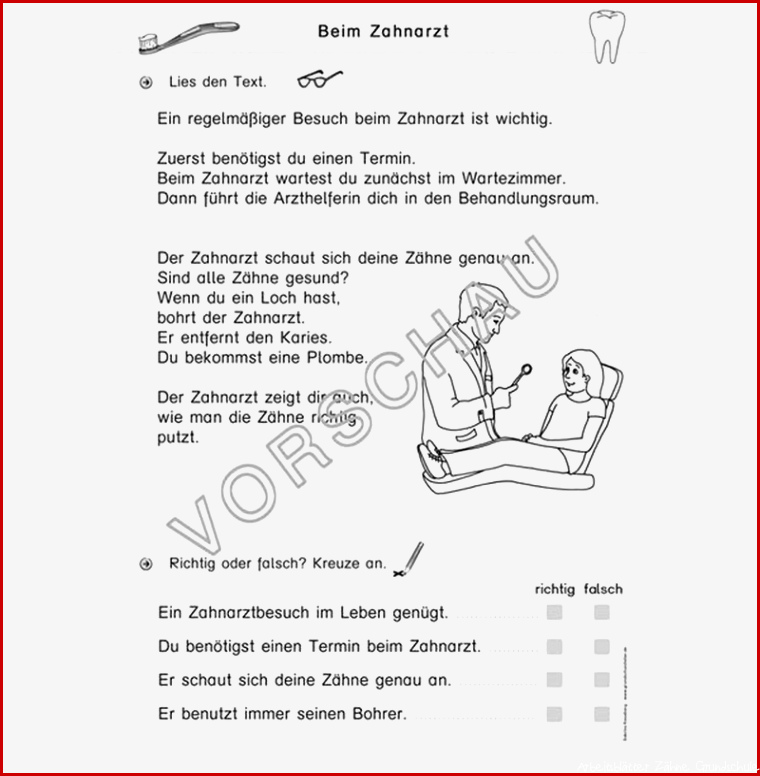 Zähne Werkstatt für Grundschule