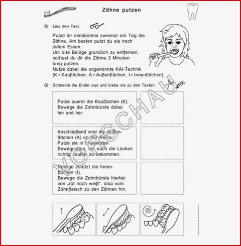 Zähne Werkstatt Für Grundschule