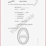Zähne Werkstatt Für Grundschule