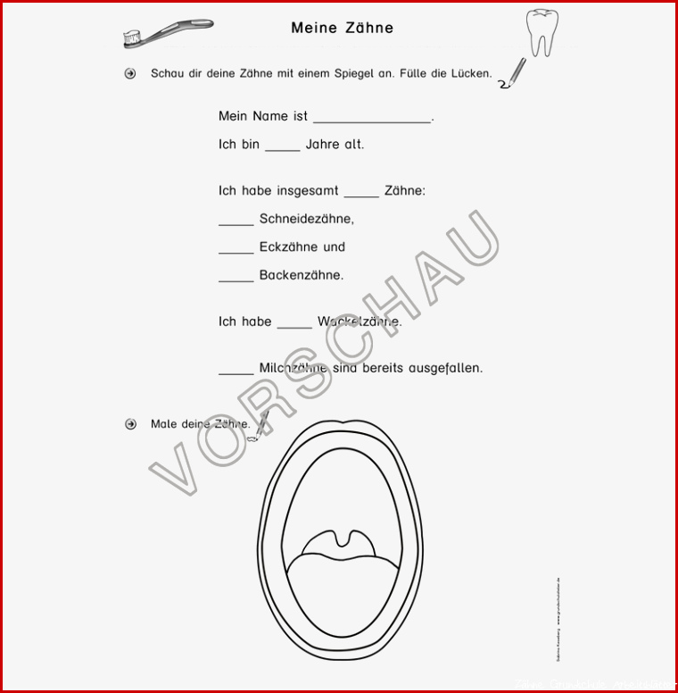Zähne Werkstatt für Grundschule