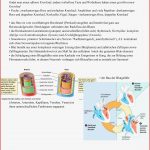 Zoologie 3 Blutkreislauf Grundlagen Der Biologie 2