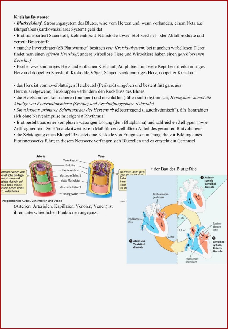 Zoologie 3 Blutkreislauf Grundlagen Der Biologie 2