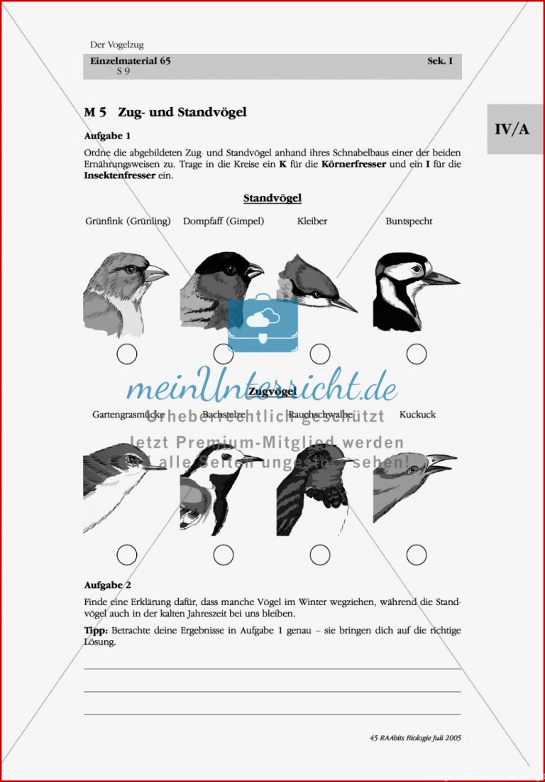 Zug und Standvögel Zuordnung Körner und Insektenfresser