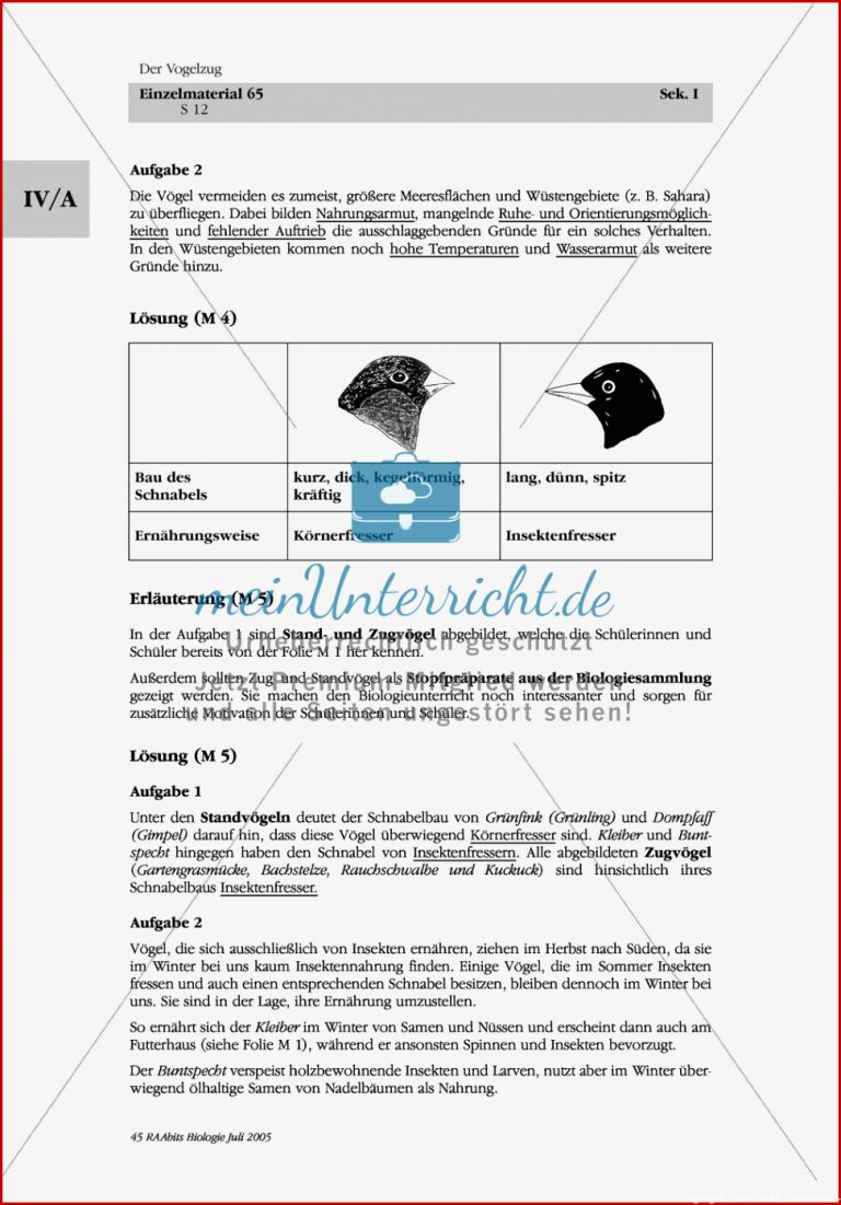 Zugvögel Körnerfresser Insektenfresser Schnabelform