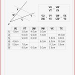 Zuordnungen Klasse 7 Arbeitsblätter Worksheets