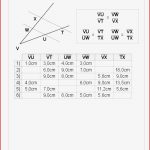 Zuordnungen Klasse 7 Arbeitsblätter Worksheets