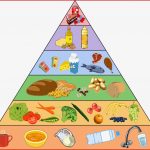 Zusammensetzung Der Nahrung Und Gesunde Ernährung Online