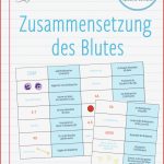 Zusammensetzung Des Blutes Domino Spiel