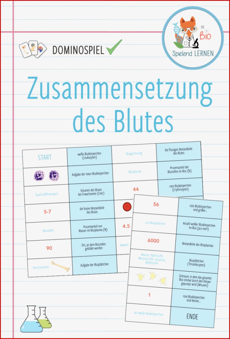 Zusammensetzung Des Blutes Domino Spiel