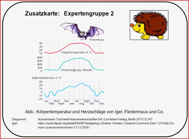 Zusatzkarten